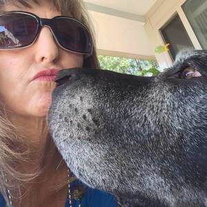 Meet your Posher, Paula